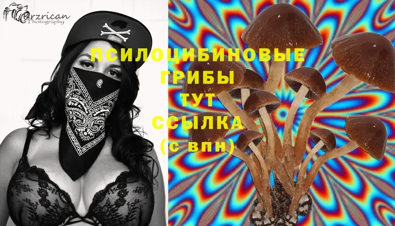 Псилоцибиновые грибы Magic Shrooms  Луза 